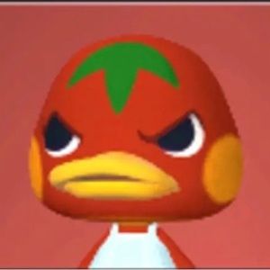 Meet your Posher, Lucy